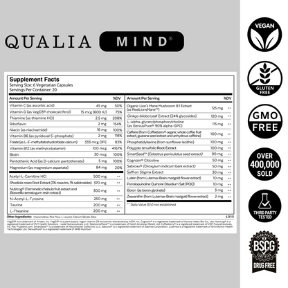 Qualia Mind 2.0
